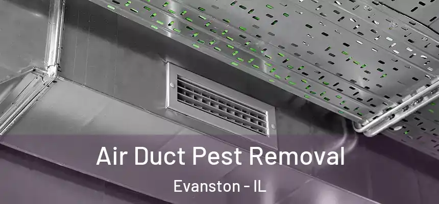 Air Duct Pest Removal Evanston - IL