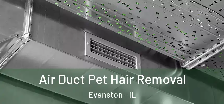 Air Duct Pet Hair Removal Evanston - IL