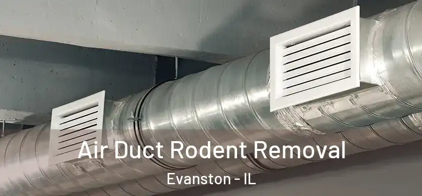 Air Duct Rodent Removal Evanston - IL