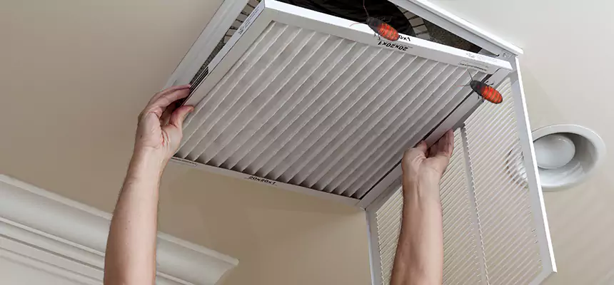 Preventive Cockroach-Proofing for Ducts in Evanston