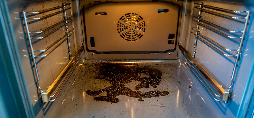 Our Dryer Vent Mold Cleaning Services in Evanston, IL