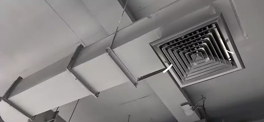 Our Pest Removal From Ducts Services in Evanston, IL