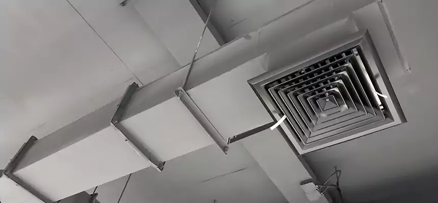 Our Rodent Droppings In Vents Services in Evanston, IL