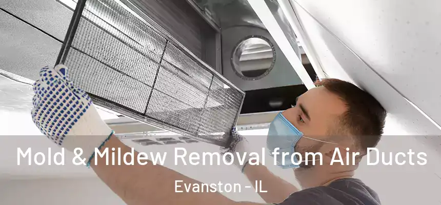 Mold & Mildew Removal from Air Ducts Evanston - IL