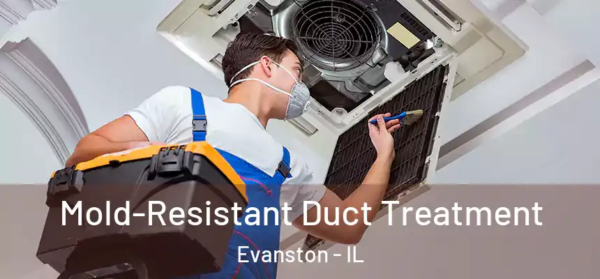Mold-Resistant Duct Treatment Evanston - IL