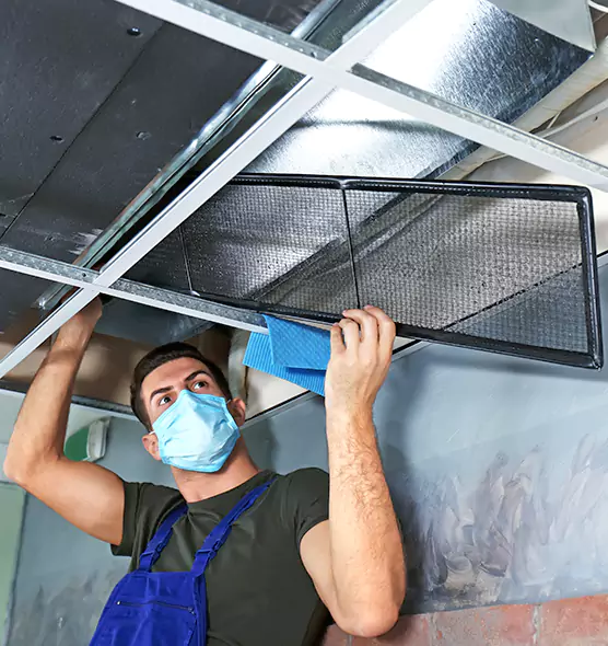 About Air Duct Bacteria Removal in Evanston