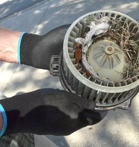 About Air Duct Rat Removal in Evanston, IL