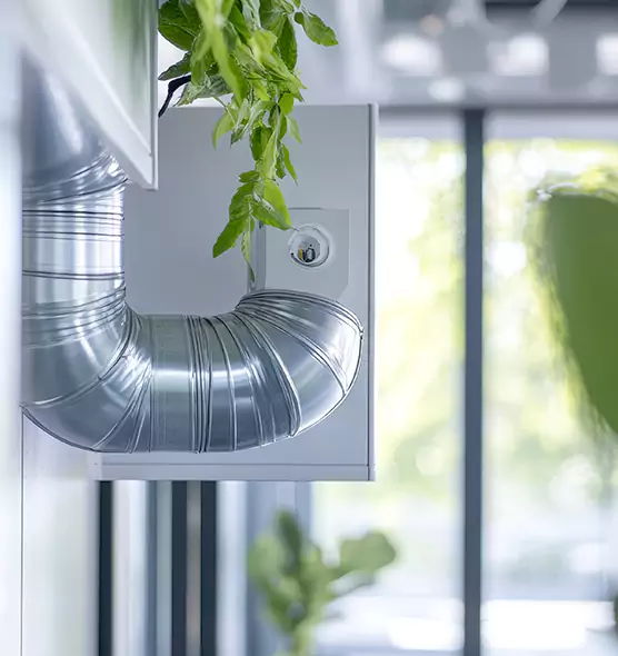 Professional Eco-Safe Dryer Vent Cleaning in Evanston, IL