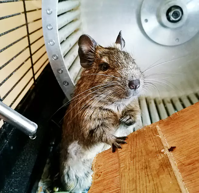 Why Homeowners & Businesses Trust Us Evanston, IL