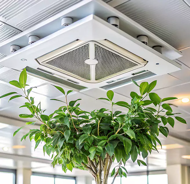 Why Homeowners & Businesses Trust Us in Evanston, IL?