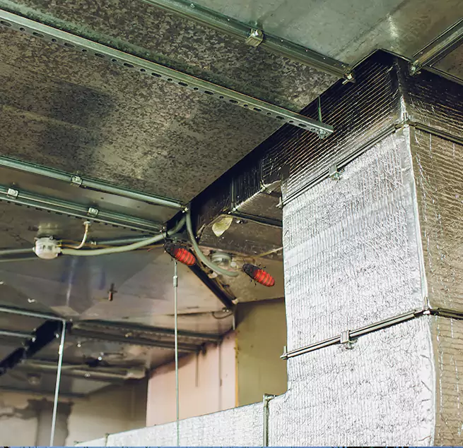 Why Homeowners & Businesses Trust Us Evanston, IL?